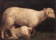 BASSANO, Jacopo Sheep and Lamb dghj oil painting on canvas